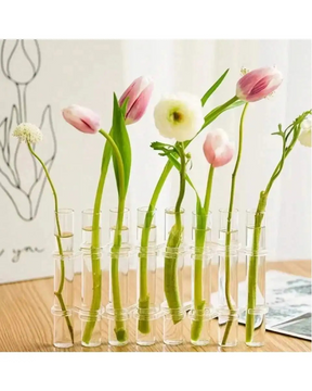 Vasos de Vidro Suspensos para Plantas Kit 4 ou 6 Unidades